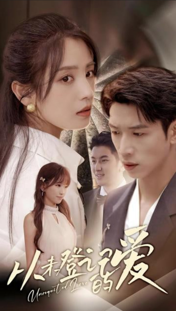 从未登记的爱封面图