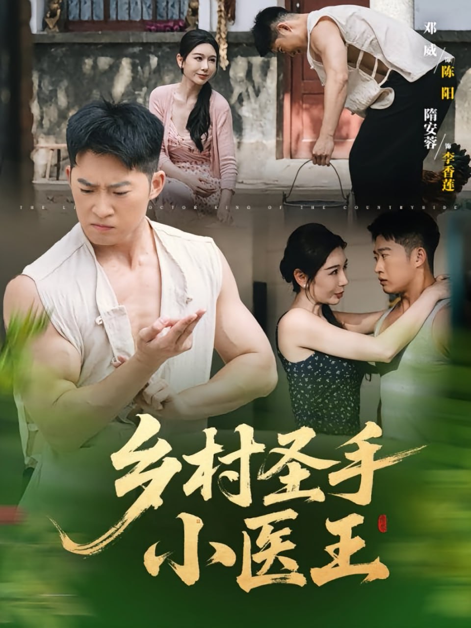 乡村圣手小医王封面图