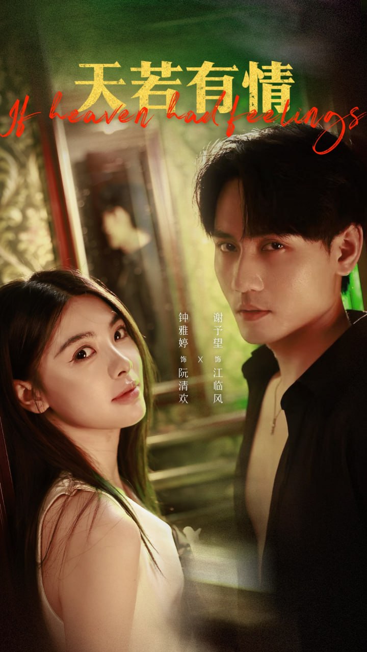 天若有情封面图