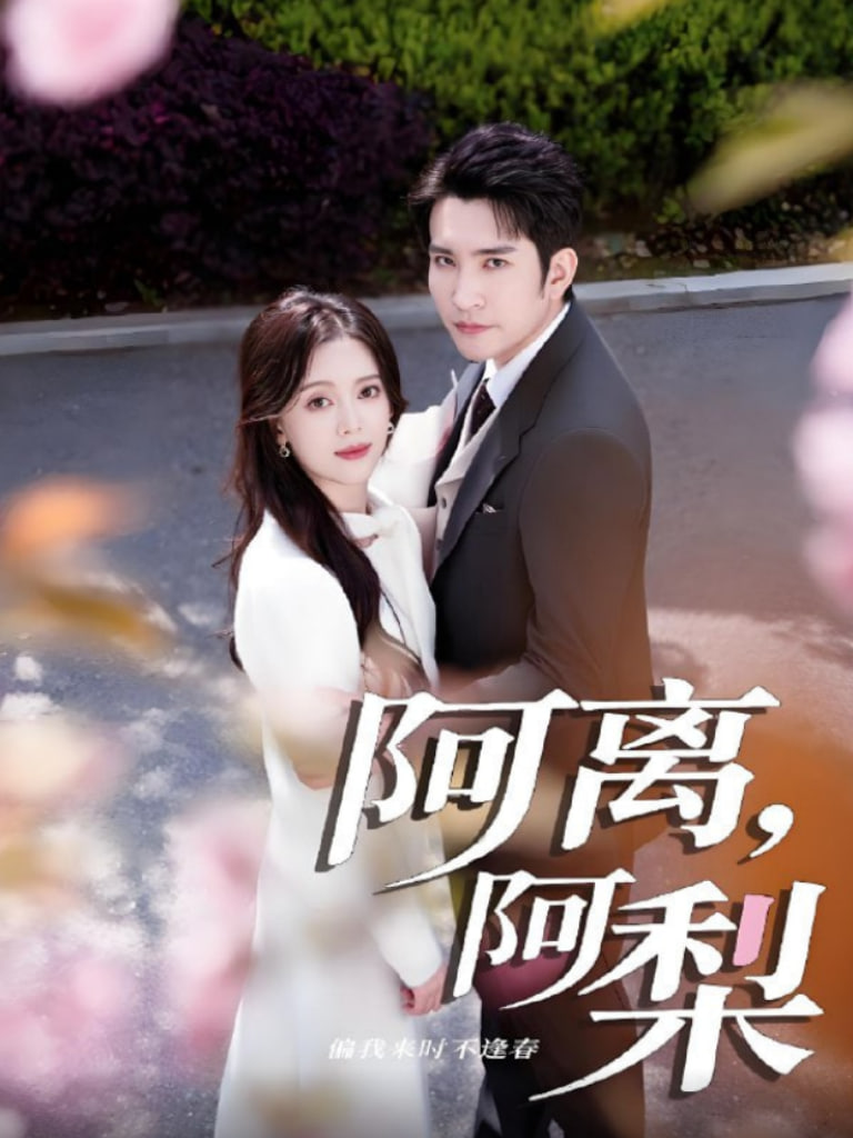 阿离阿梨封面图