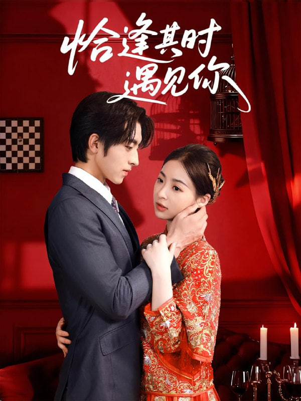 恰逢其时遇见你封面图