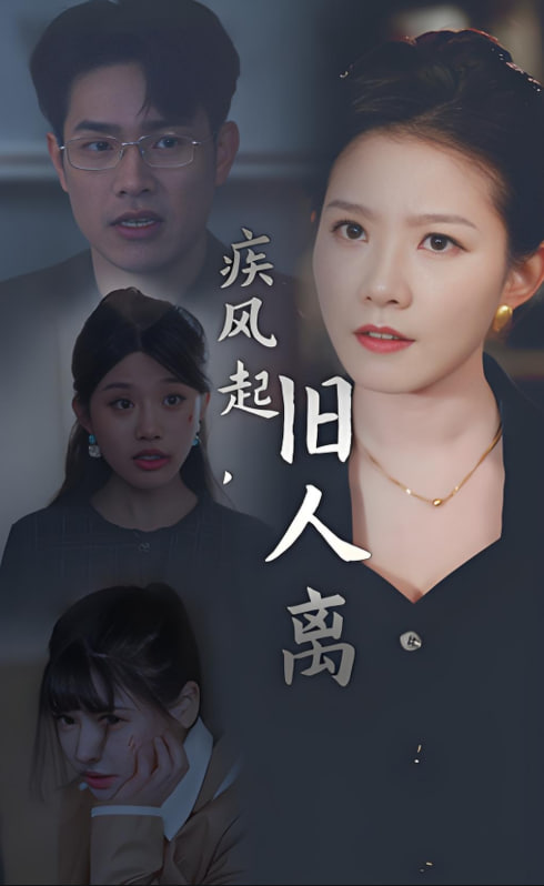 疾风起旧人离封面图