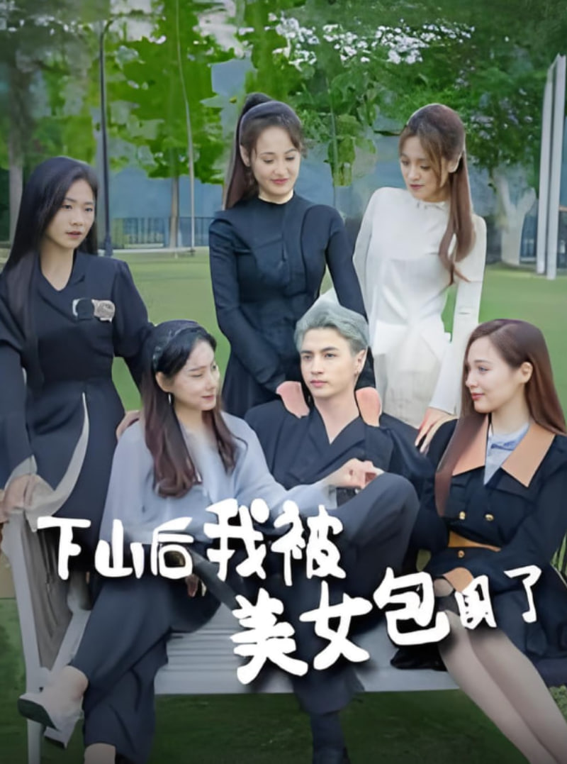 下山后我被美女包围了封面图