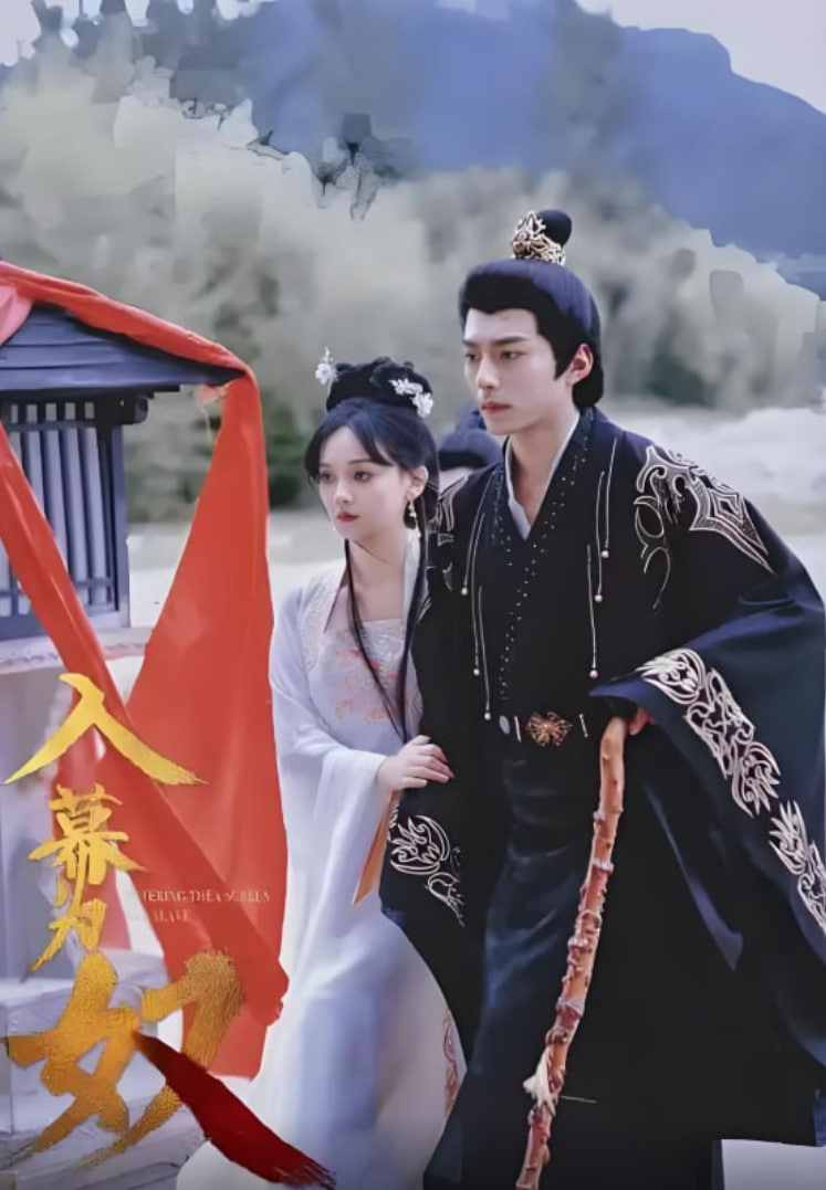 入幕为奴封面图