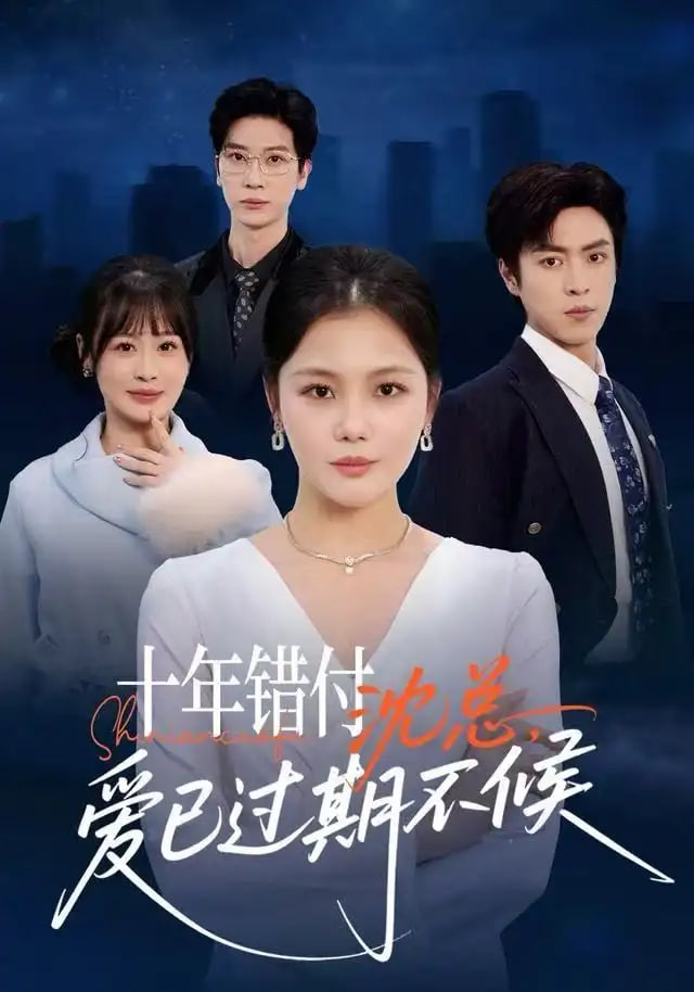 十年错付:沈总,爱已过期不候