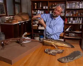 审判日 Judgement 2007