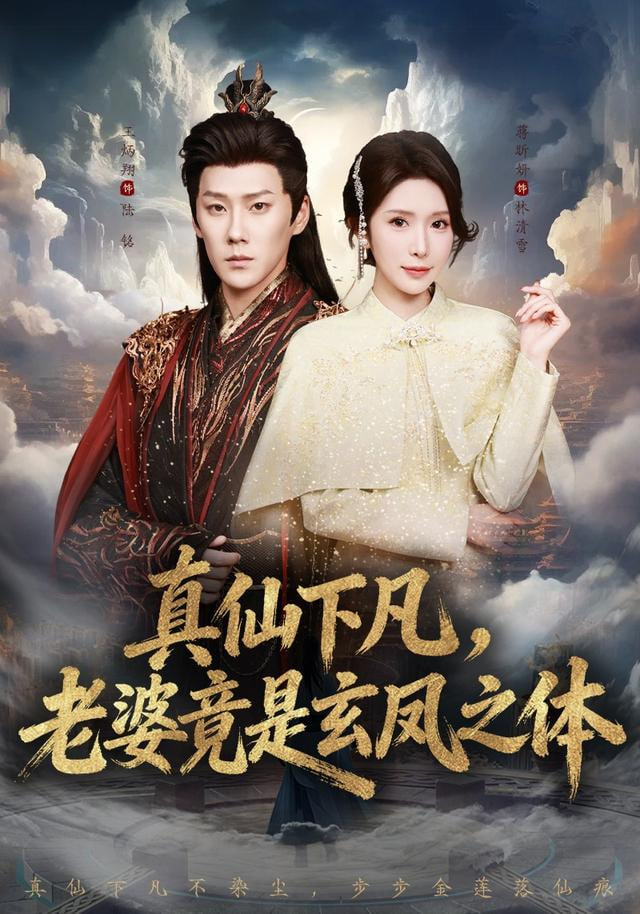 真仙下凡，老婆竟是玄凤之体封面图