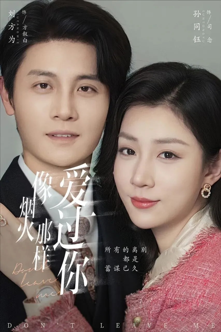 像烟火那样爱过你封面图