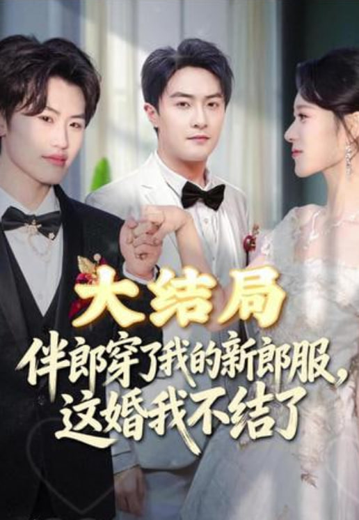 伴郎穿了我的新郎服,这婚我不结了