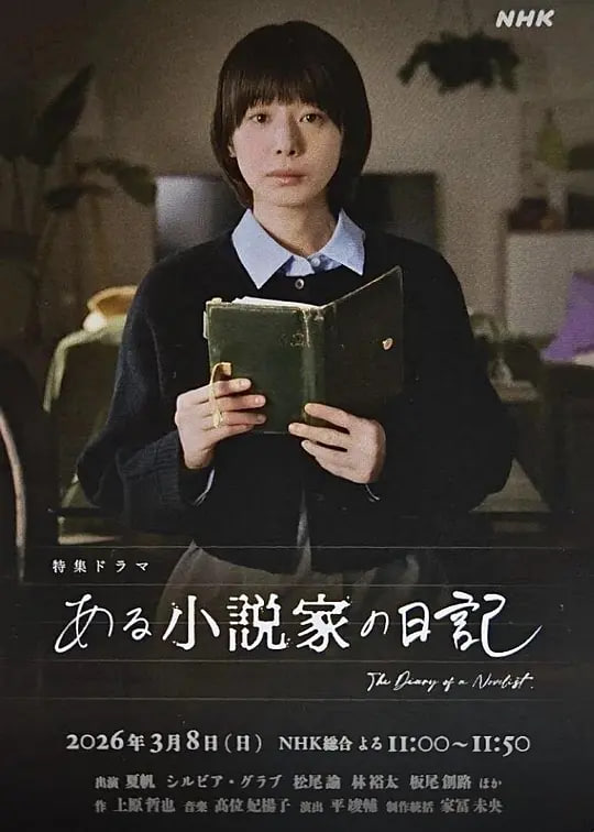 某小说家的日记封面图