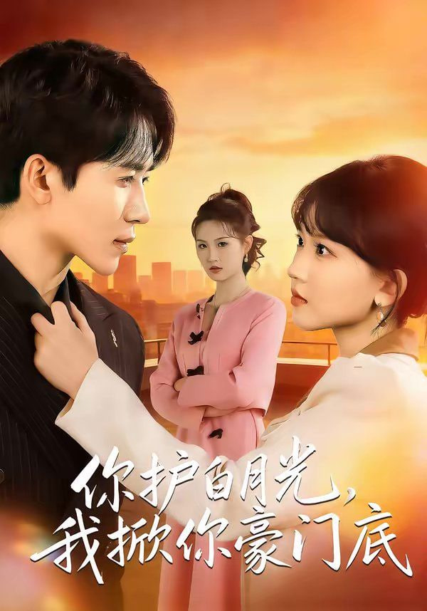 你护白月光，我掀你豪门底海报