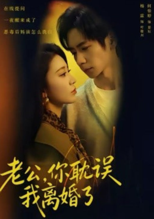 老公，你耽误我离婚了海报