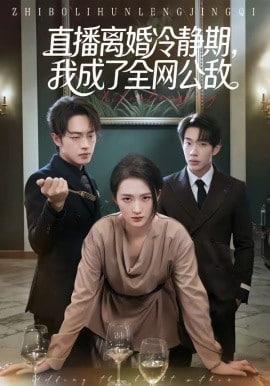 直播离婚冷静期，我成了全网公敌海报