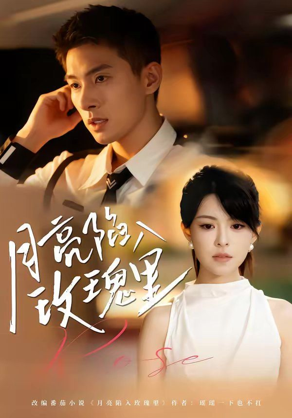 月亮陷入玫瑰里海报