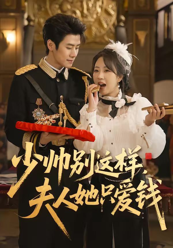 少帅别这样，夫人她只爱钱海报