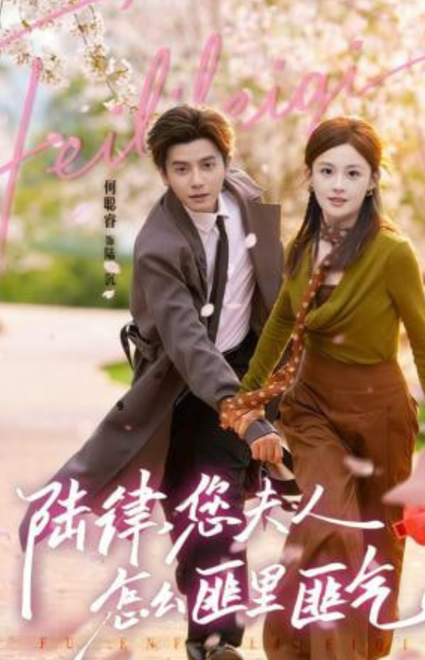 陆律，您夫人怎么匪里匪气