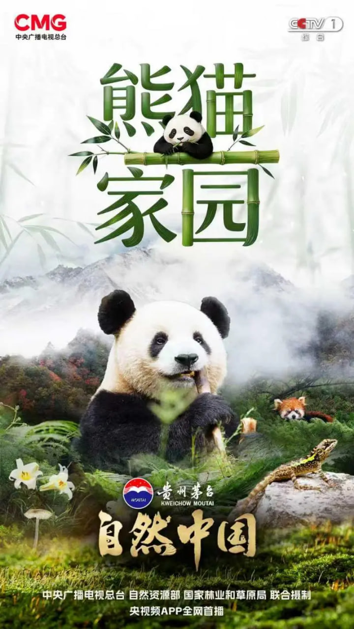 熊猫家园封面图