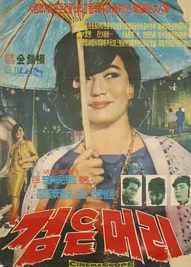 黑头发封面图