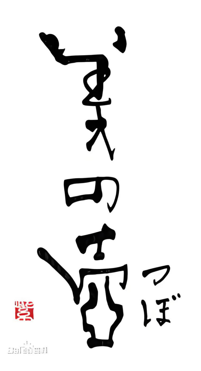 美之壶 2018封面图