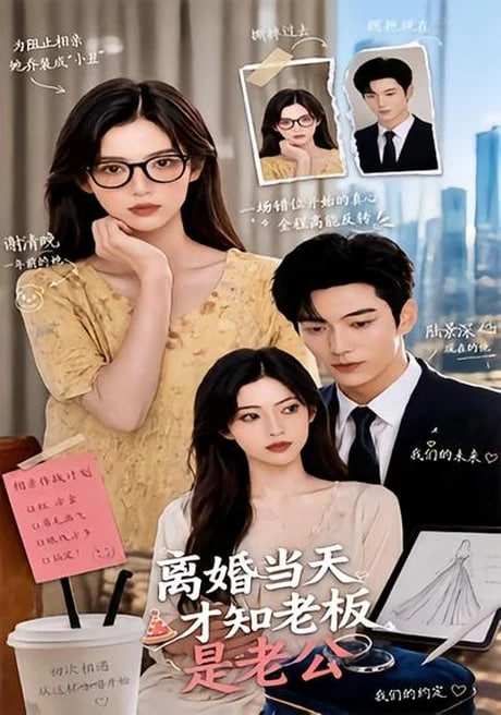 离婚当天才知老板是老公在线观看