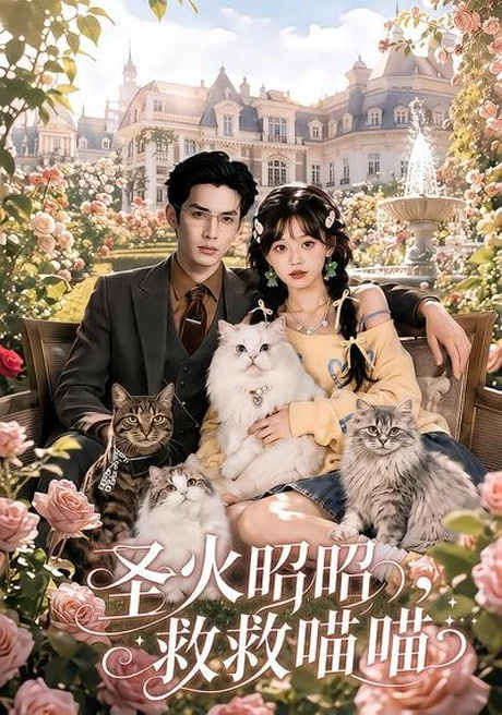 圣火昭昭，救救喵喵高清播放