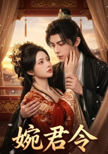 婉君令在线观看