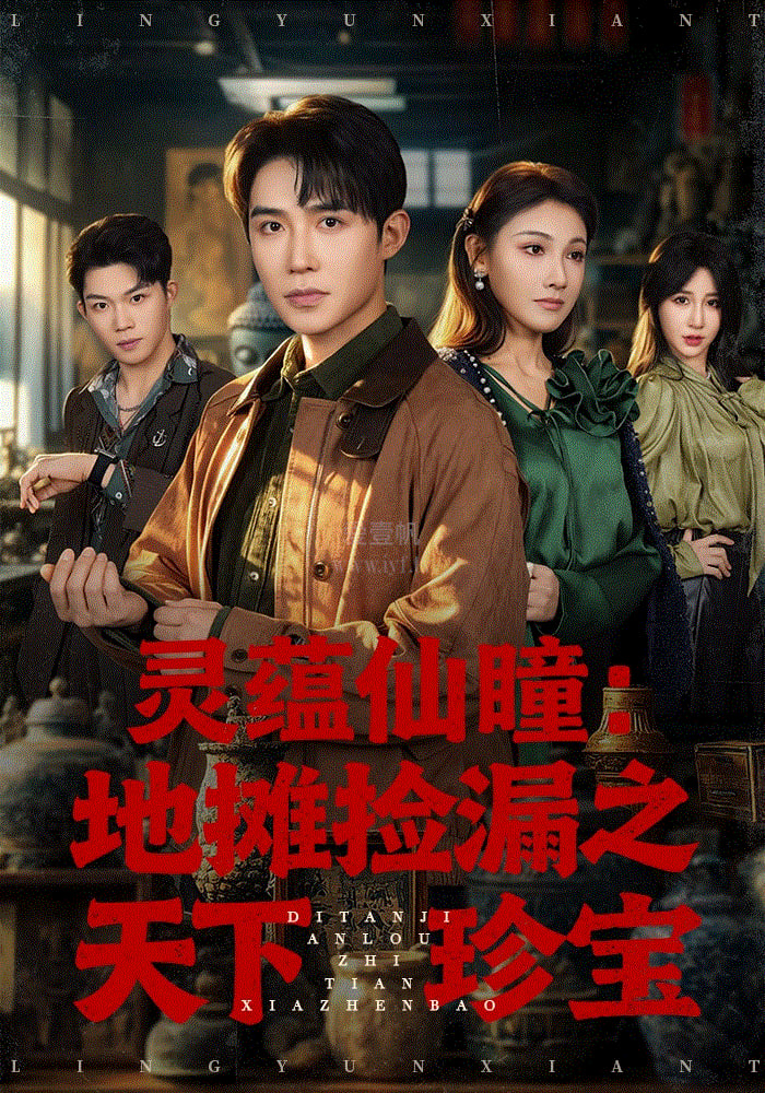灵蕴仙瞳：地摊捡漏天下珍宝在线观看
