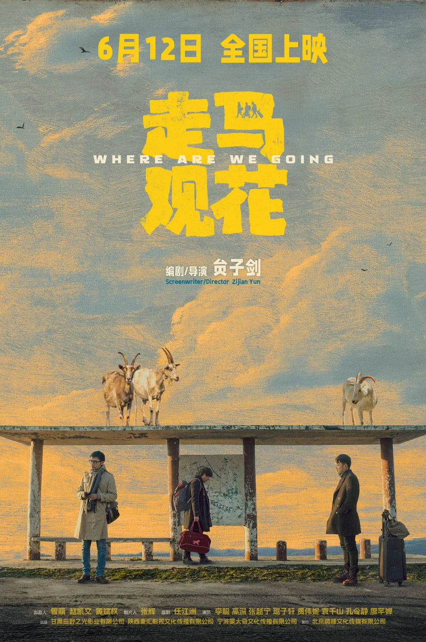 走马观花