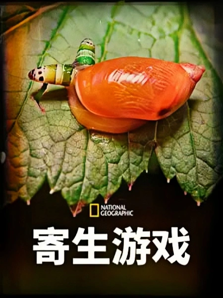 寄生游戏 第一季 英文版
