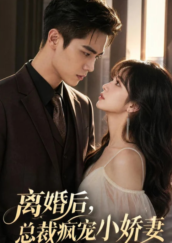 离婚后，总裁疯宠小娇妻海报