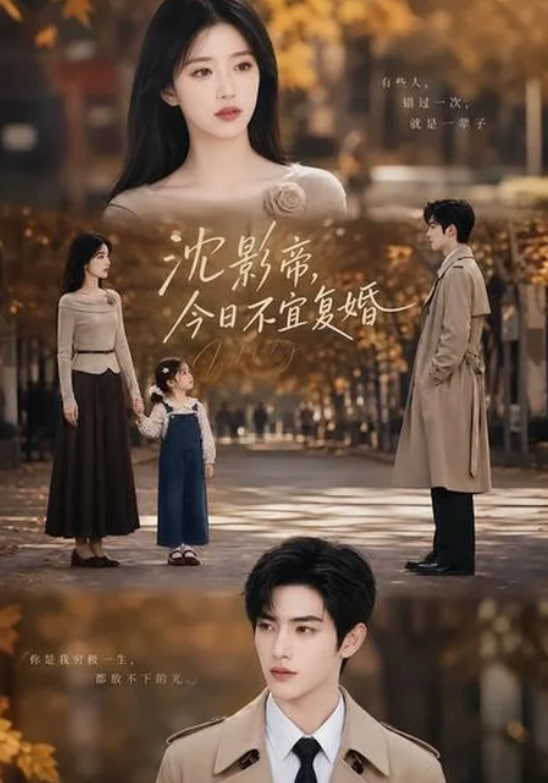 沈影帝，今日不宜复婚