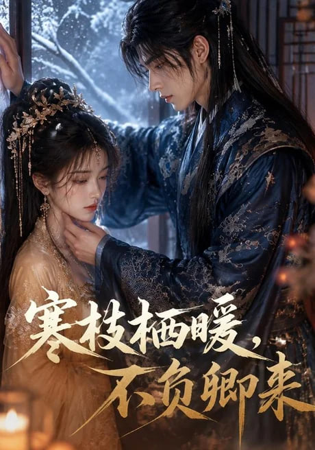 寒枝栖暖,不负卿来