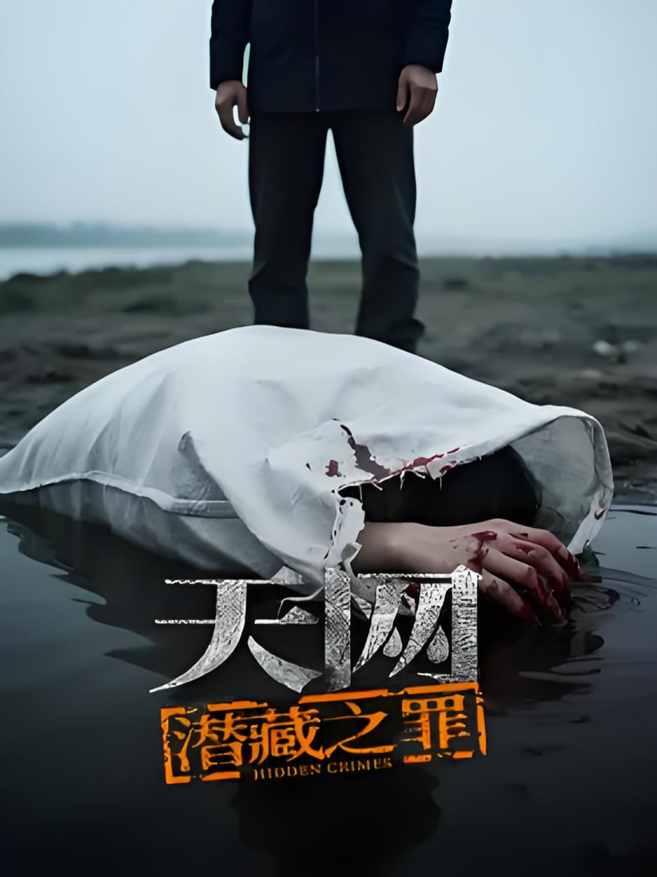 天网：潜藏之罪
