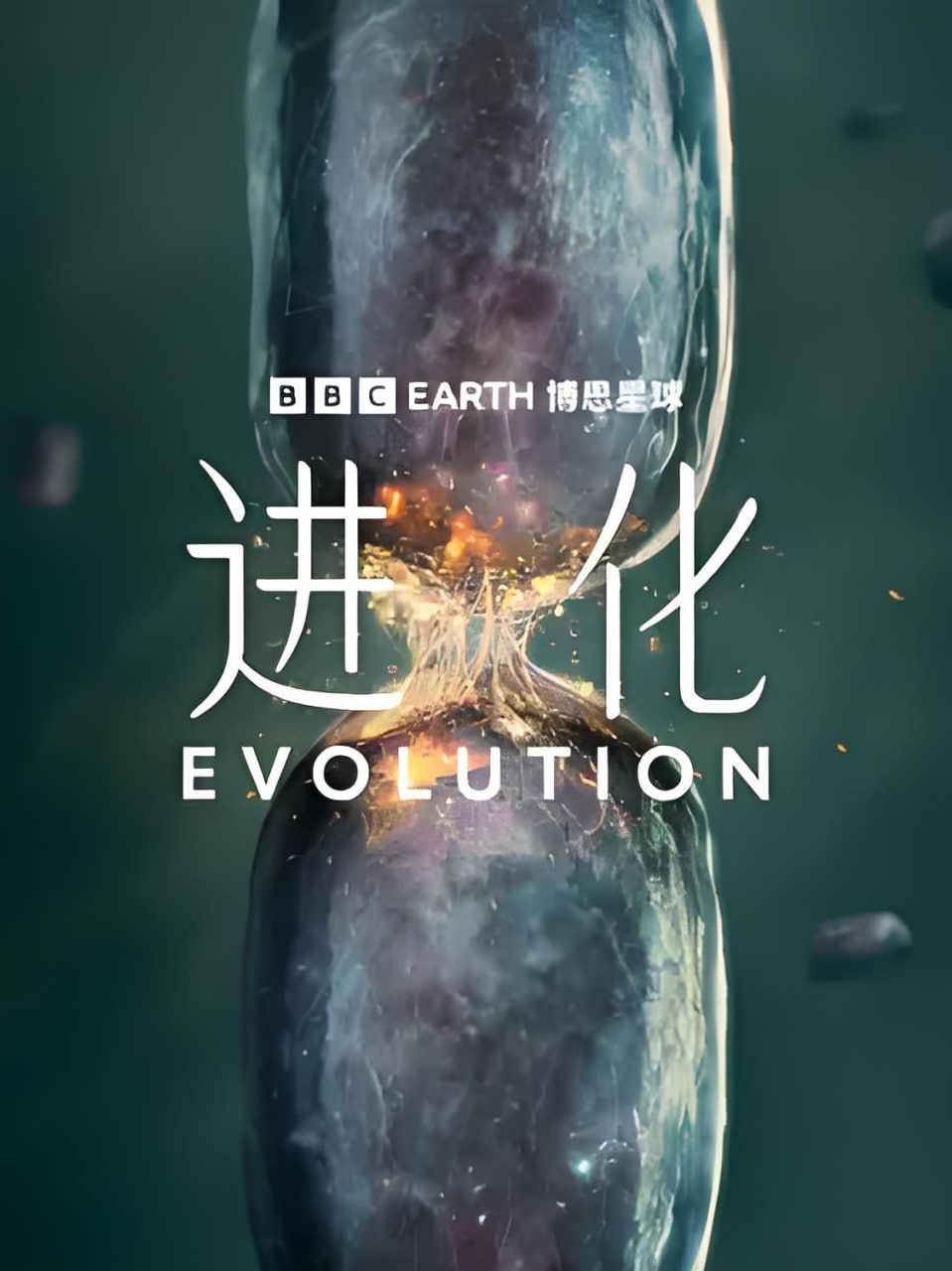 进化（中配版）