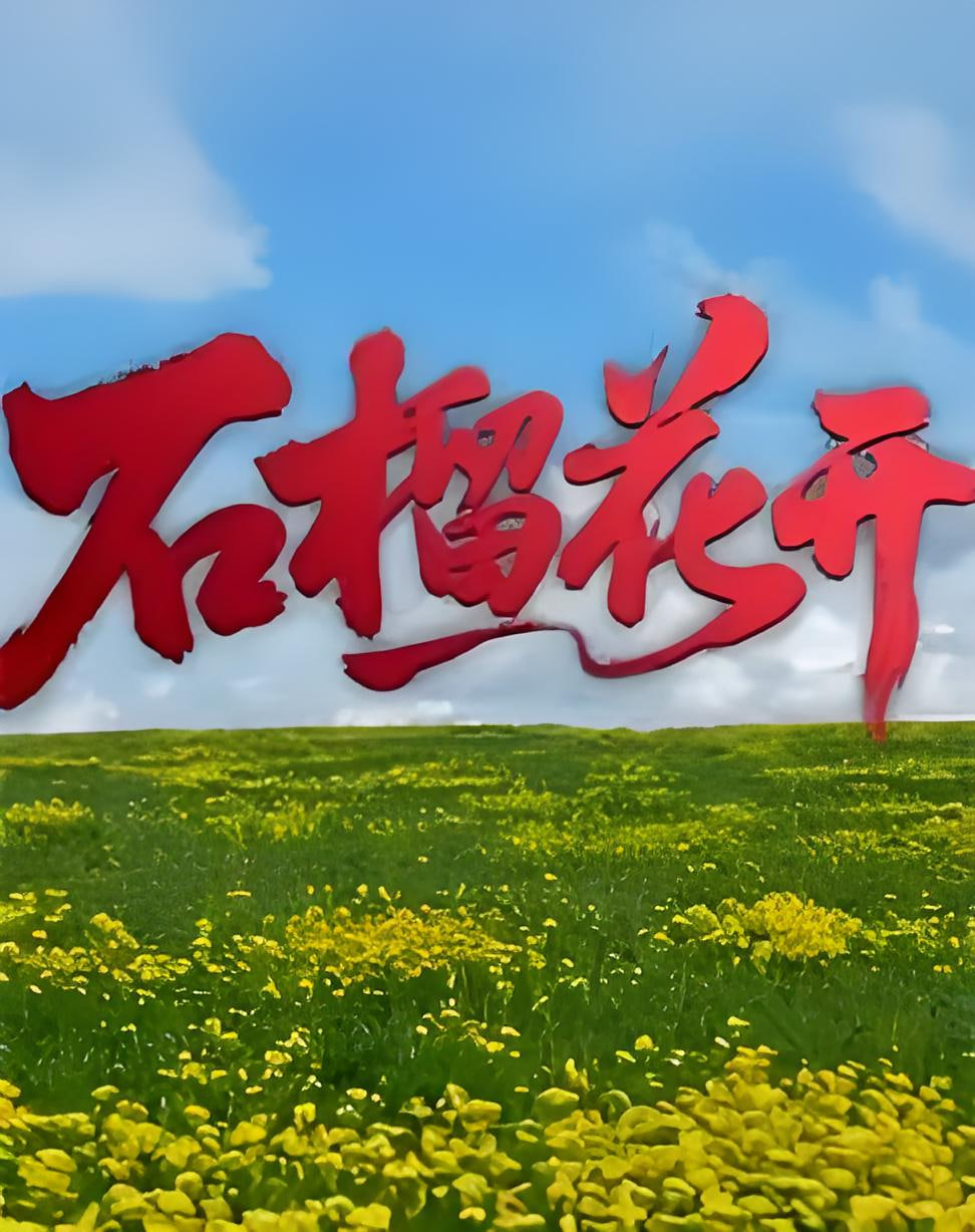 石榴花开