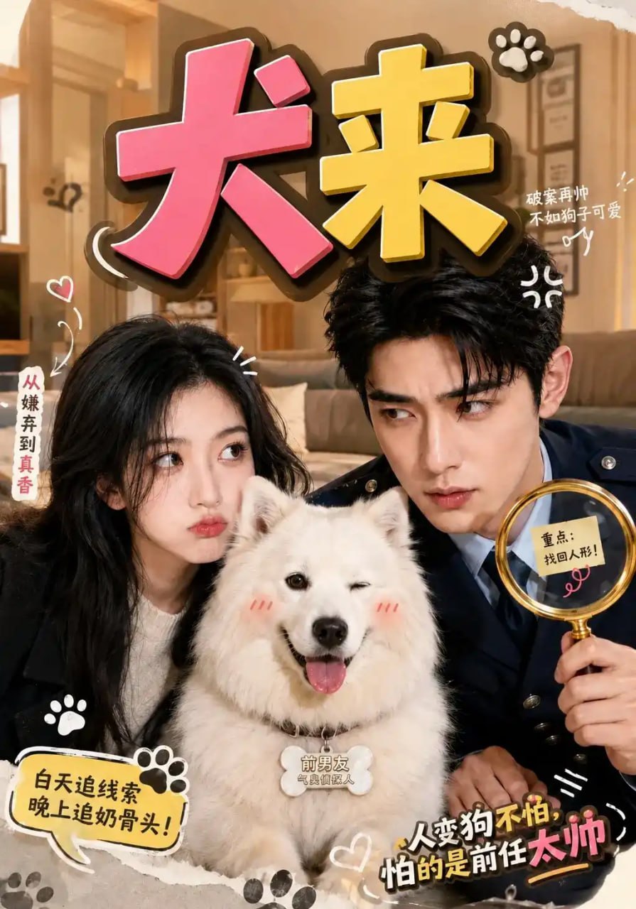 犬来