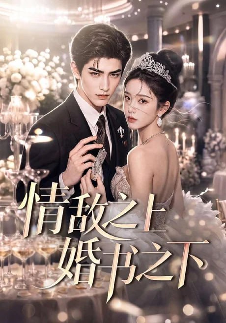 情敌之上婚书之下 海报
